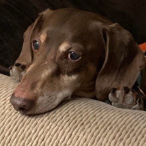 Meet your Posher, Loredana